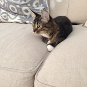 katarinakay_1 avatar