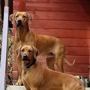 m_i_felgenhauer avatar