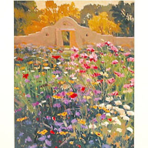 barbarakayton avatar