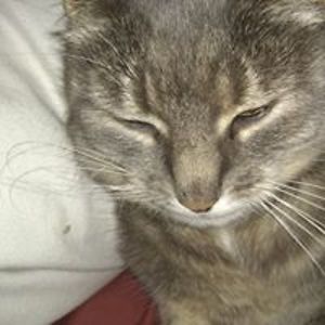 jaimie_dougherty avatar