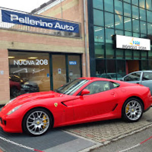 lorispellerino avatar