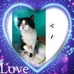 susanrosemarin628 avatar