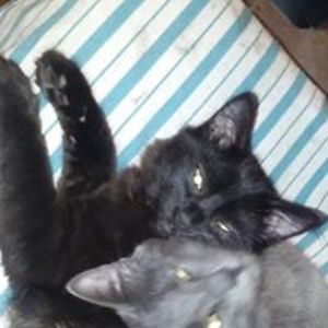 angelaamy2001 avatar