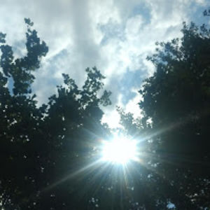 ollieollieoxenfree avatar