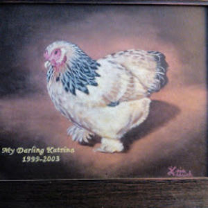 sandykavanaugh avatar