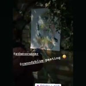 beatricbeladi avatar