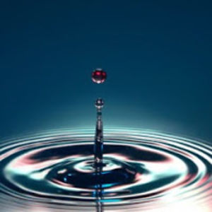 rogeliozamorarod avatar