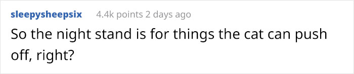 Wife Is Dying From Laughter After Finding Out The Bed Her Husband Was Building Is For The Cat, Not For Them Wife Is Dying From Laughter After Finding Out The Bed Her Husband Was Building Is For The Cat, Not For Them