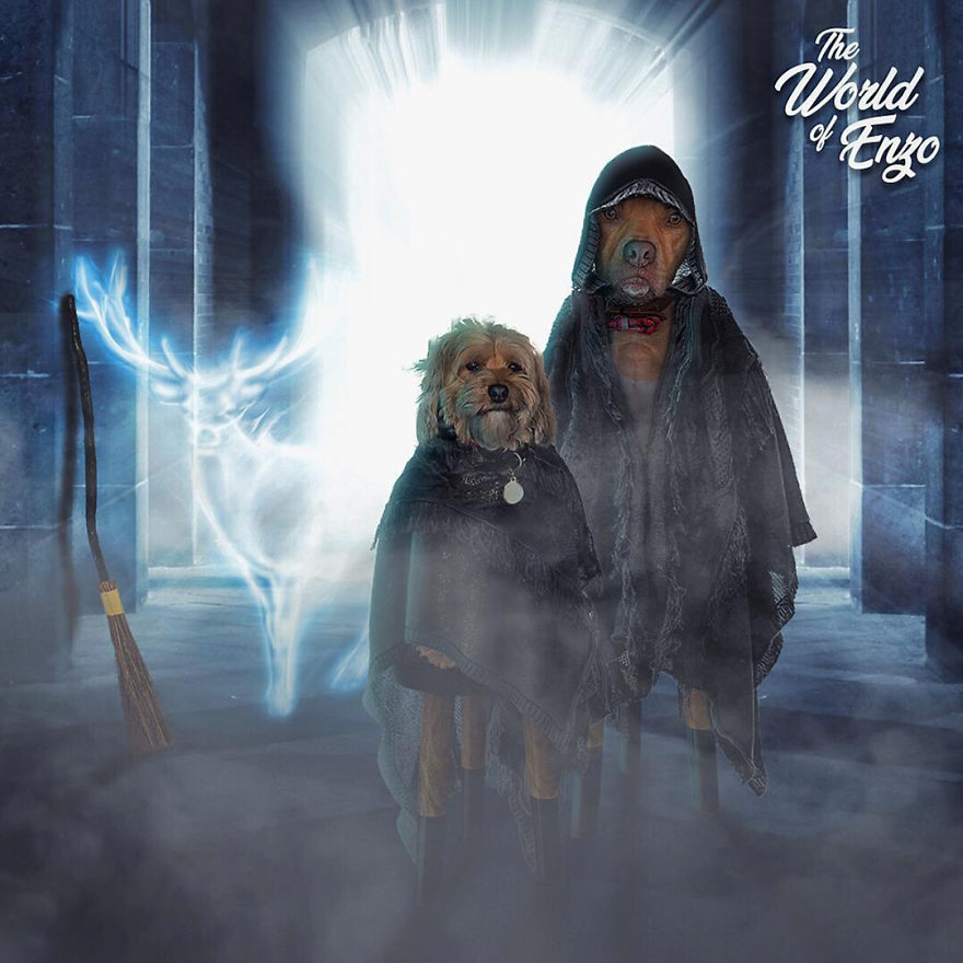 Oh, You Do Cosplay Huh? Hold My Beer! Oh, You Do Cosplay Huh? Hold My Beer!