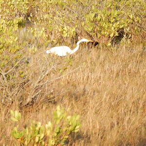 deborahmccormick avatar