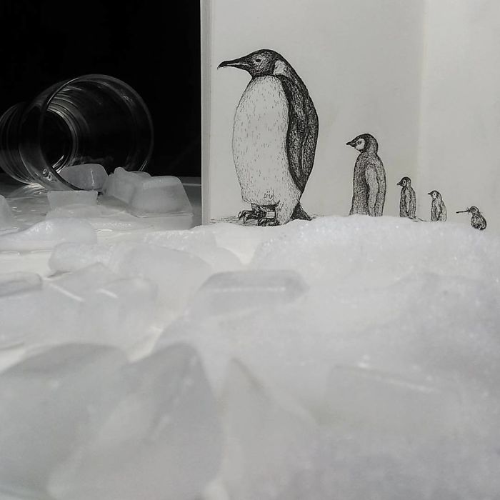 Penguins