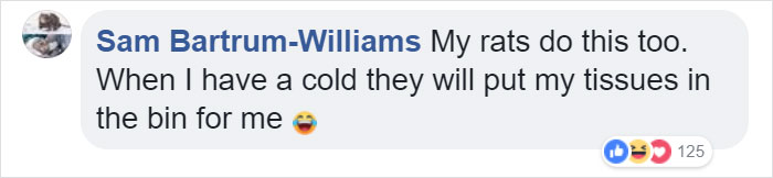 "I Thought I Was Going Mad:" Pensioner Catches A Mouse That Kept Cleaning His Shed On A Trail Cam "I Thought I Was Going Mad:" Pensioner Catches A Mouse That Kept Cleaning His Shed On A Trail Cam