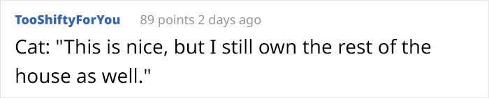 Wife Is Dying From Laughter After Finding Out The Bed Her Husband Was Building Is For The Cat, Not For Them