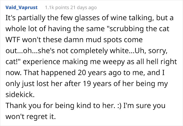 Guy Wakes Up From A Nap To A Stray Kitten Sleeping On His Stomach, Decides To Keep It Guy Wakes Up From A Nap To A Stray Kitten Sleeping On His Stomach, Decides To Keep It