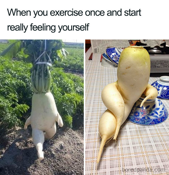 Funny weight loss meme with radishes humorously looking like people striking poses.
