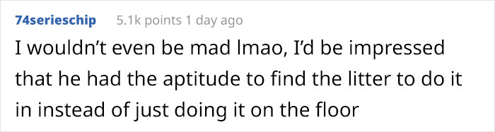 Cat Splits Open A Litter Bag To Poop After He Finds Door To His Litter Box Shut, People React With Hilarious Comments Cat Splits Open A Litter Bag To Poop After He Finds Door To His Litter Box Shut, People React With Hilarious Comments