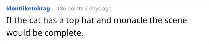 Wife Is Dying From Laughter After Finding Out The Bed Her Husband Was Building Is For The Cat, Not For Them Wife Is Dying From Laughter After Finding Out The Bed Her Husband Was Building Is For The Cat, Not For Them