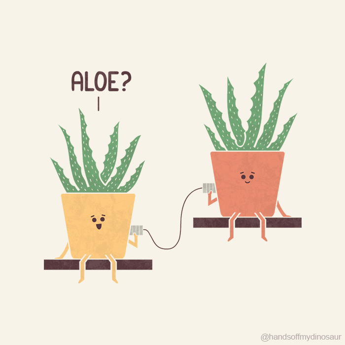 Aloe, Vera?