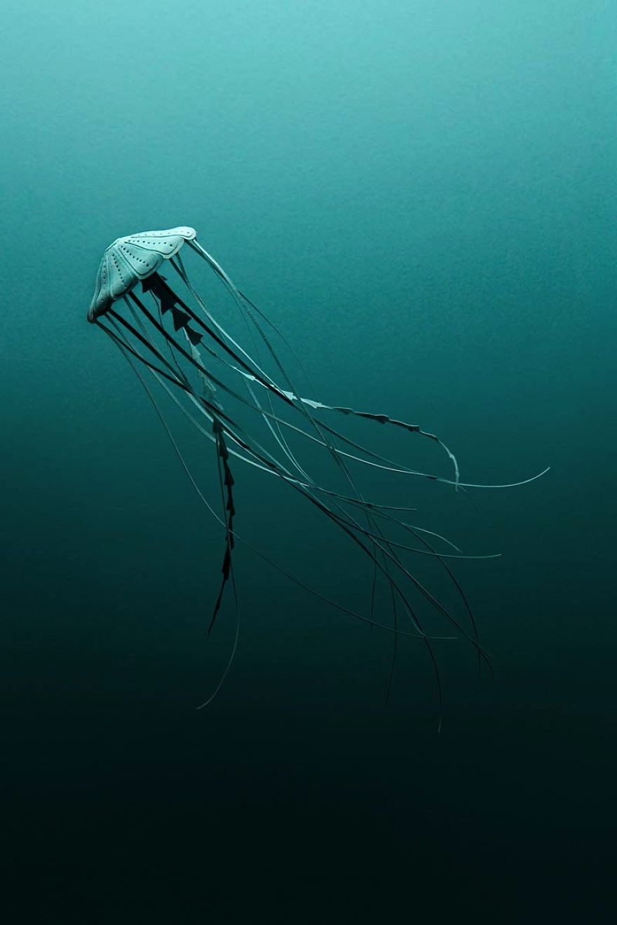 "Turquoise" By Raya Sader Bujana (Spain)