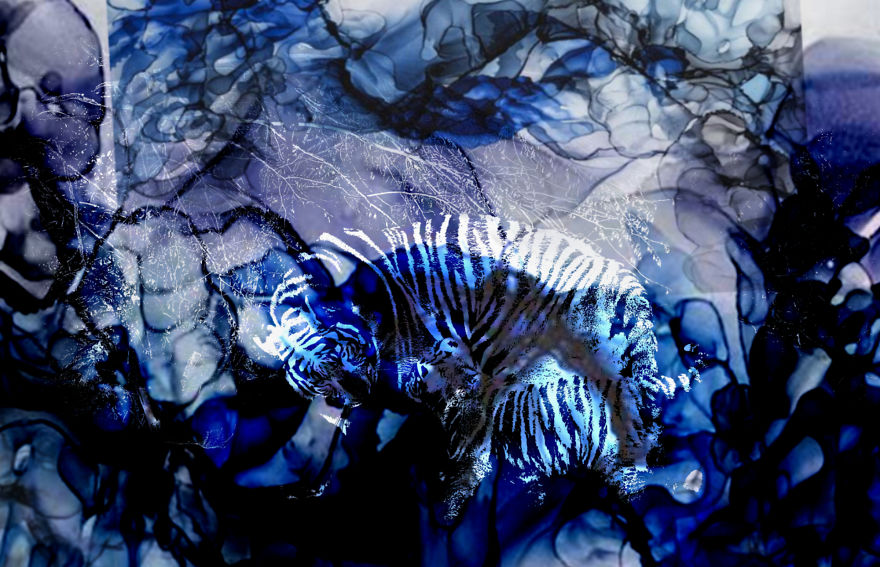 I Transform The World In Watercolor Prints