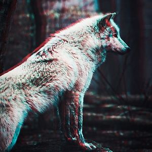 marianagalindo avatar