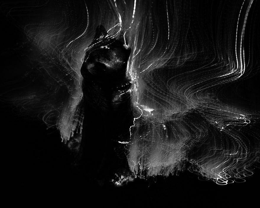 Creating Abstract Images With Long Exposure Photography