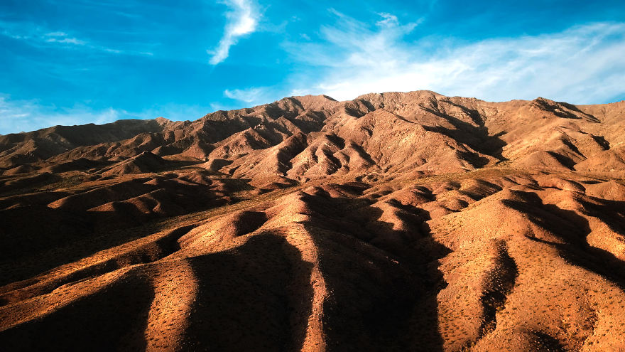 Fall In Love With Arizona