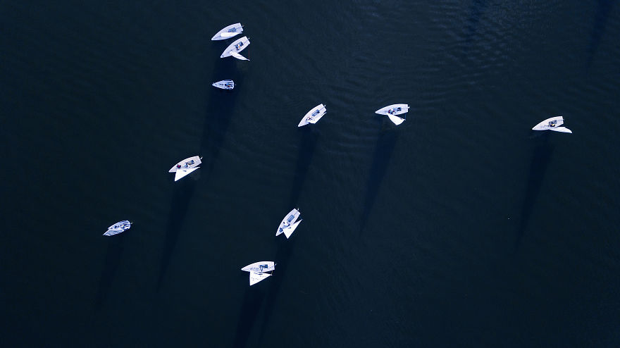 Fall In Love With Arizona