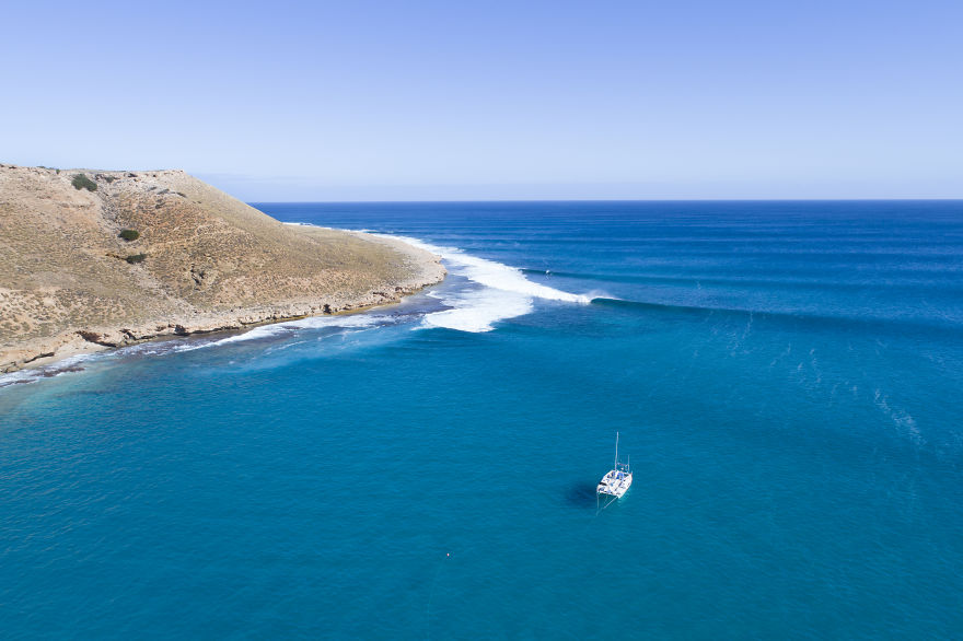 Sean Scott Shark Images