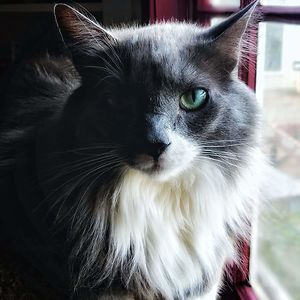 bethsimpson_1 avatar