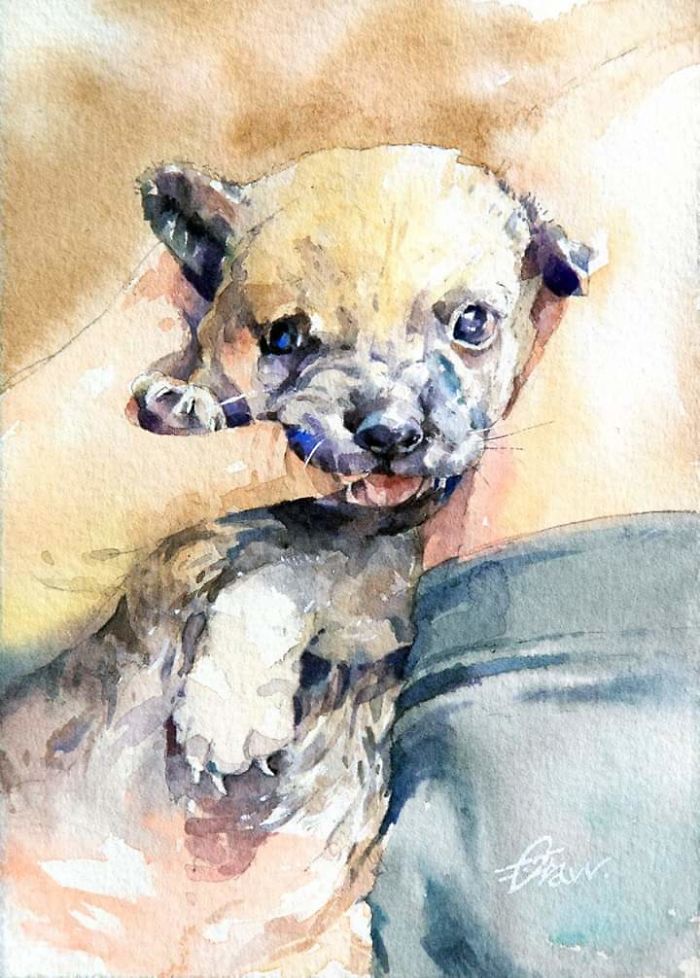 Watercolor Paintings For Dog Lovers