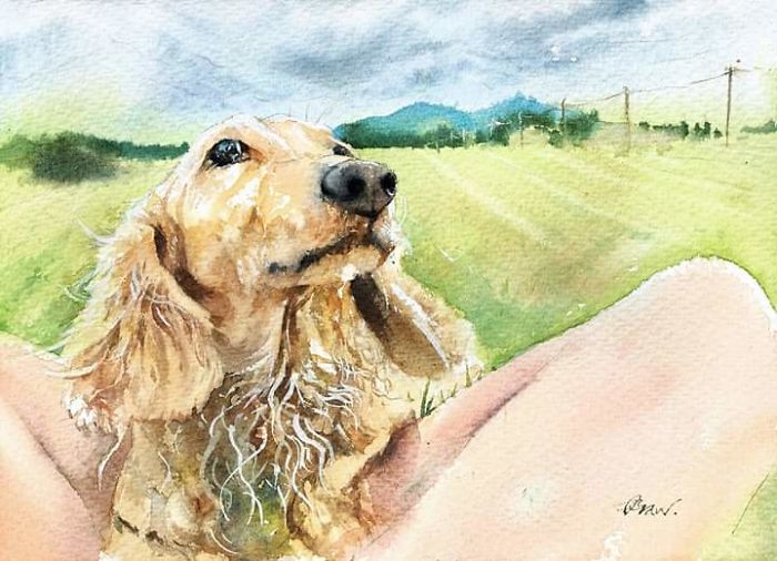Watercolor Paintings For Dog Lovers