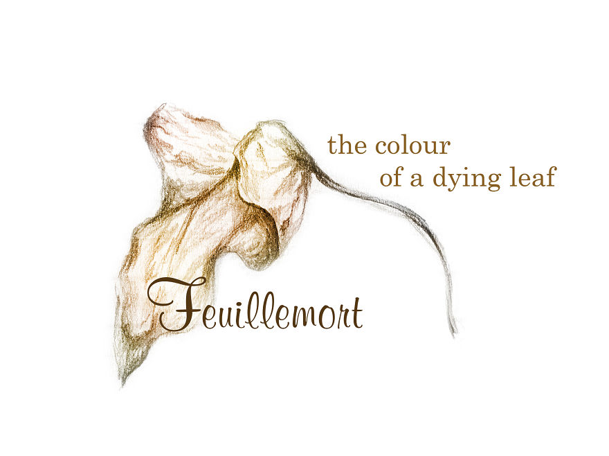 Feuillemort