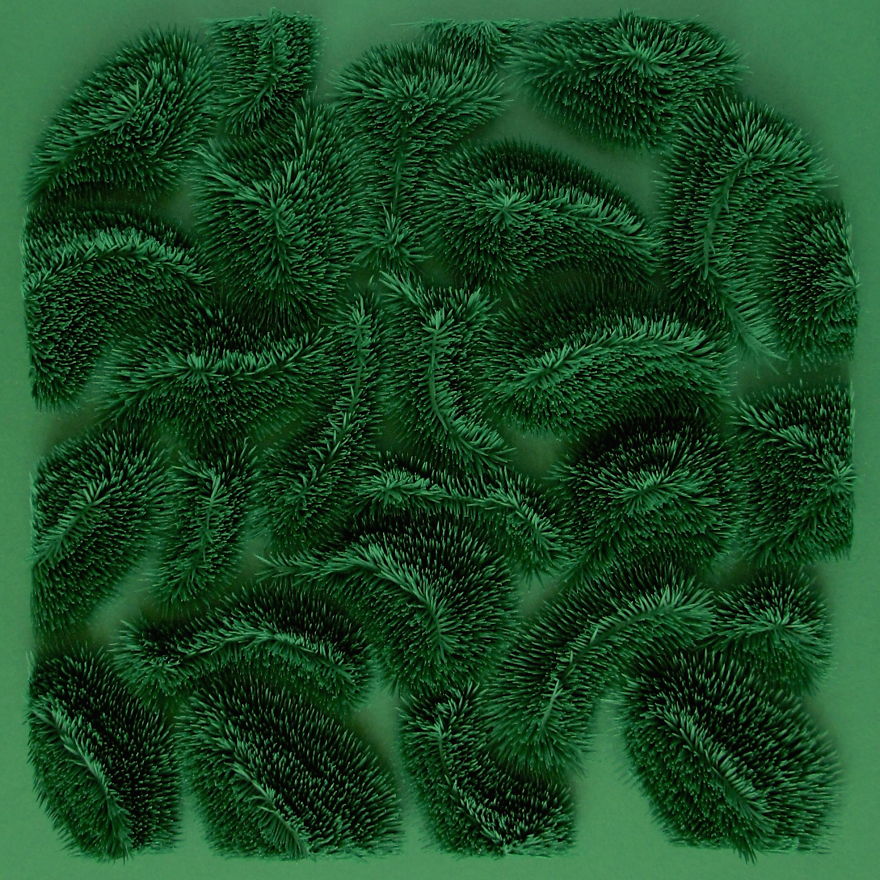 "Lockwood Green" By Clare Pentlow (UK)