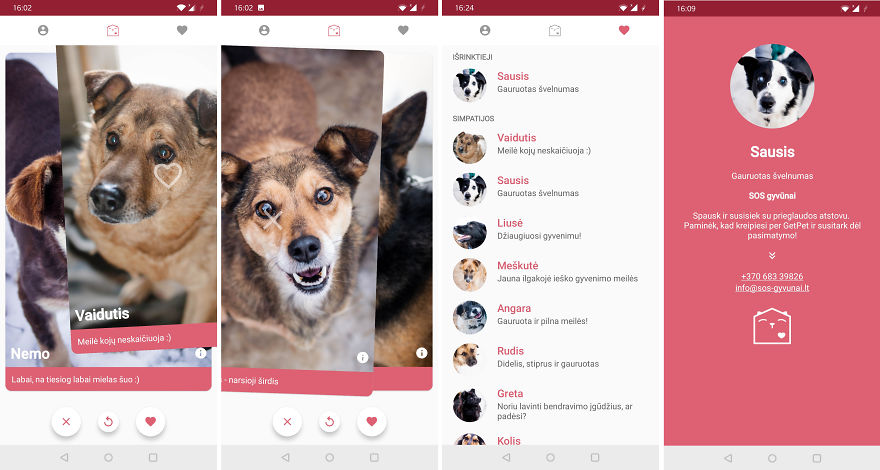 Getpet: Our Tinder-Inspired App That Connects Dogs With Their Future Owners Getpet: Our Tinder-Inspired App That Connects Dogs With Their Future Owners