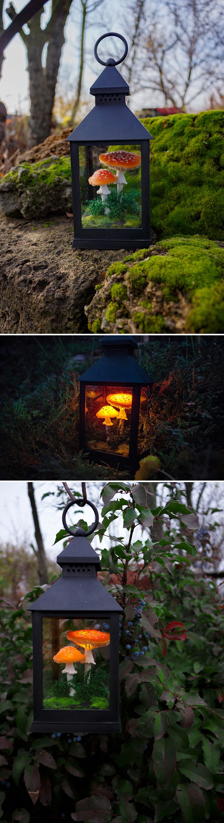 Red Amanita Mushrooms In Black Lantern Night Light