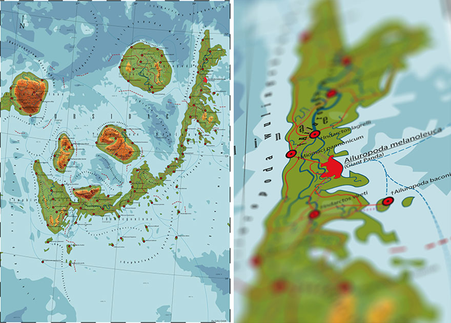 Ursidae - Land Of The Panda