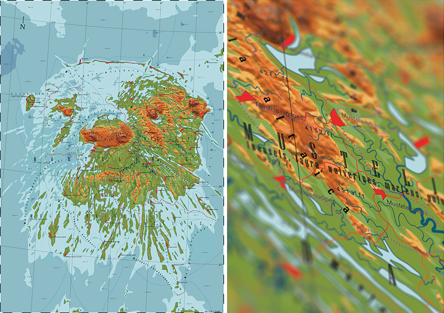 Mustelidae - Land Of The Otter
