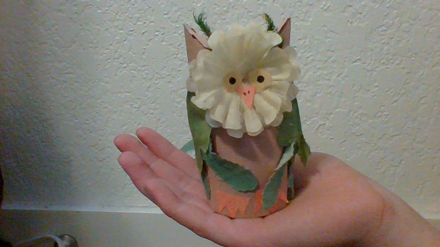 I Made Cute Owls Out Of Dollar Store Flowers And Toilet Paper Rolls I Made Cute Owls Out Of Dollar Store Flowers And Toilet Paper Rolls