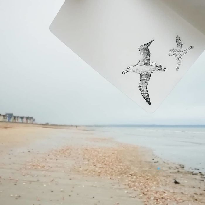 The Child Who Followed The Albatross