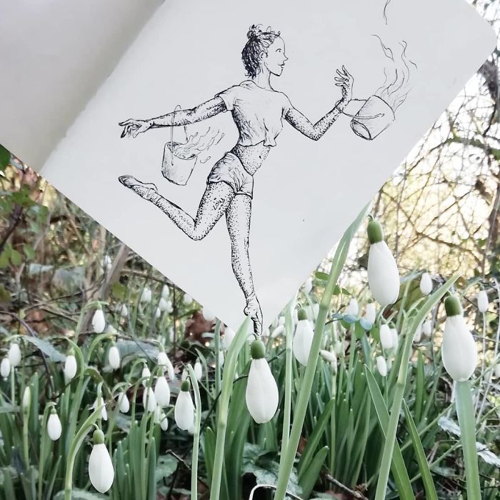 Snowdrop Explodes