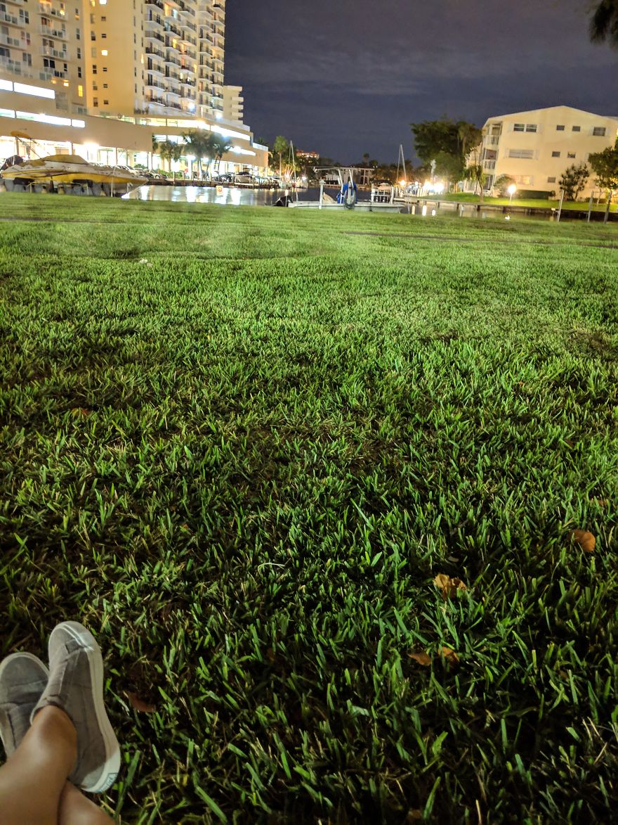 I Show The Beauty Around Me