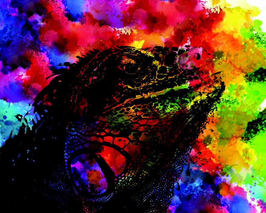 I Transform The World In Watercolor Prints