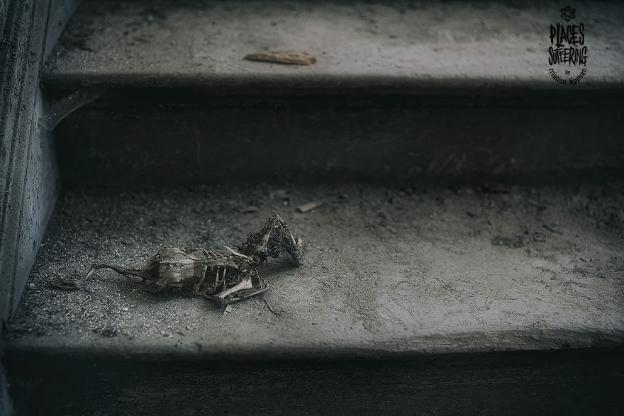 Spent One Day In This Amazing Castle