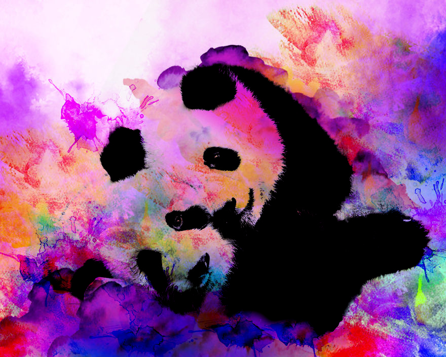 I Transform The World In Watercolor Prints