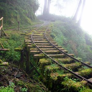 oscartherailfan avatar