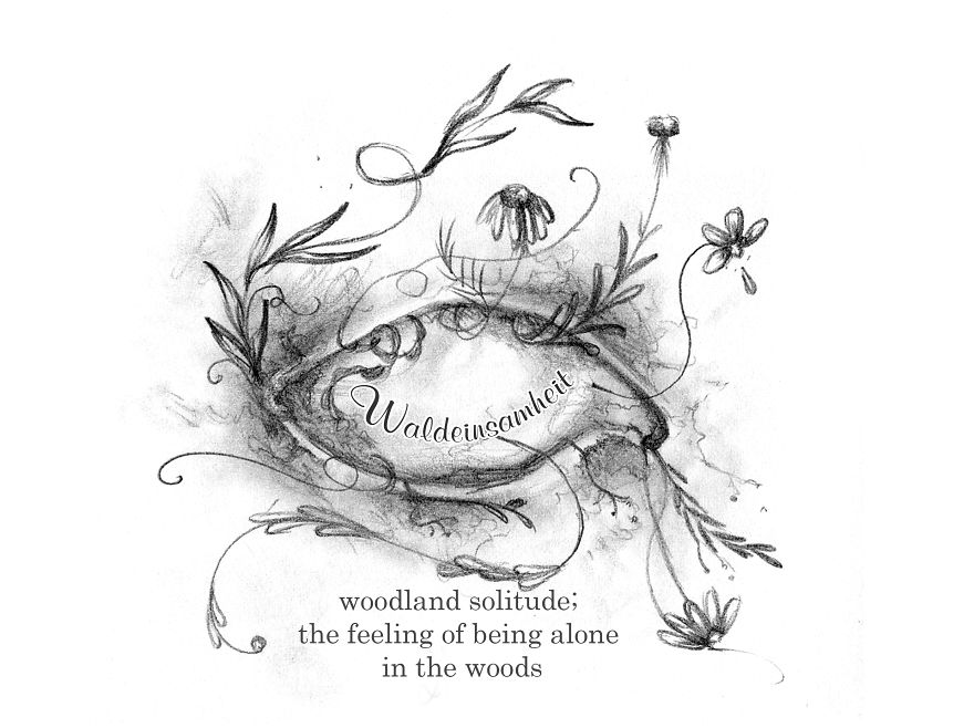 Waldeinsamheit