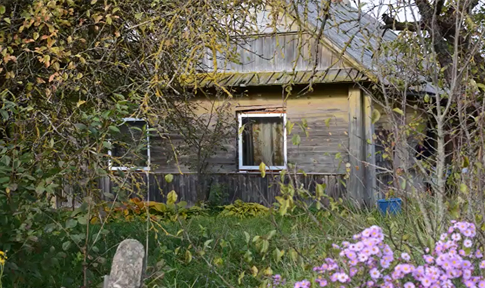 Shelter Rescues 11 Dogs Who Were Living With An Old Grandma And Only Ate Bread