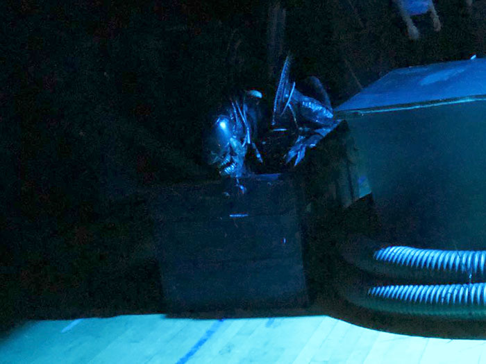 This Amazing School Play Of 'Alien' Had No Budget And Used Trash To Make Costumes This Amazing School Play Of 'Alien' Had No Budget And Used Trash To Make Costumes