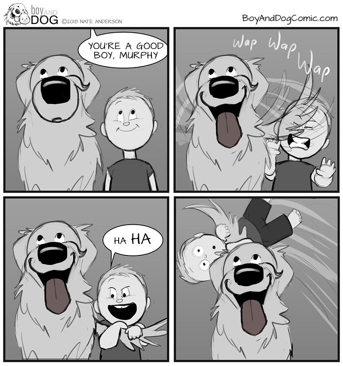 Murphy Tail Is Basically A Fluffy Catapult